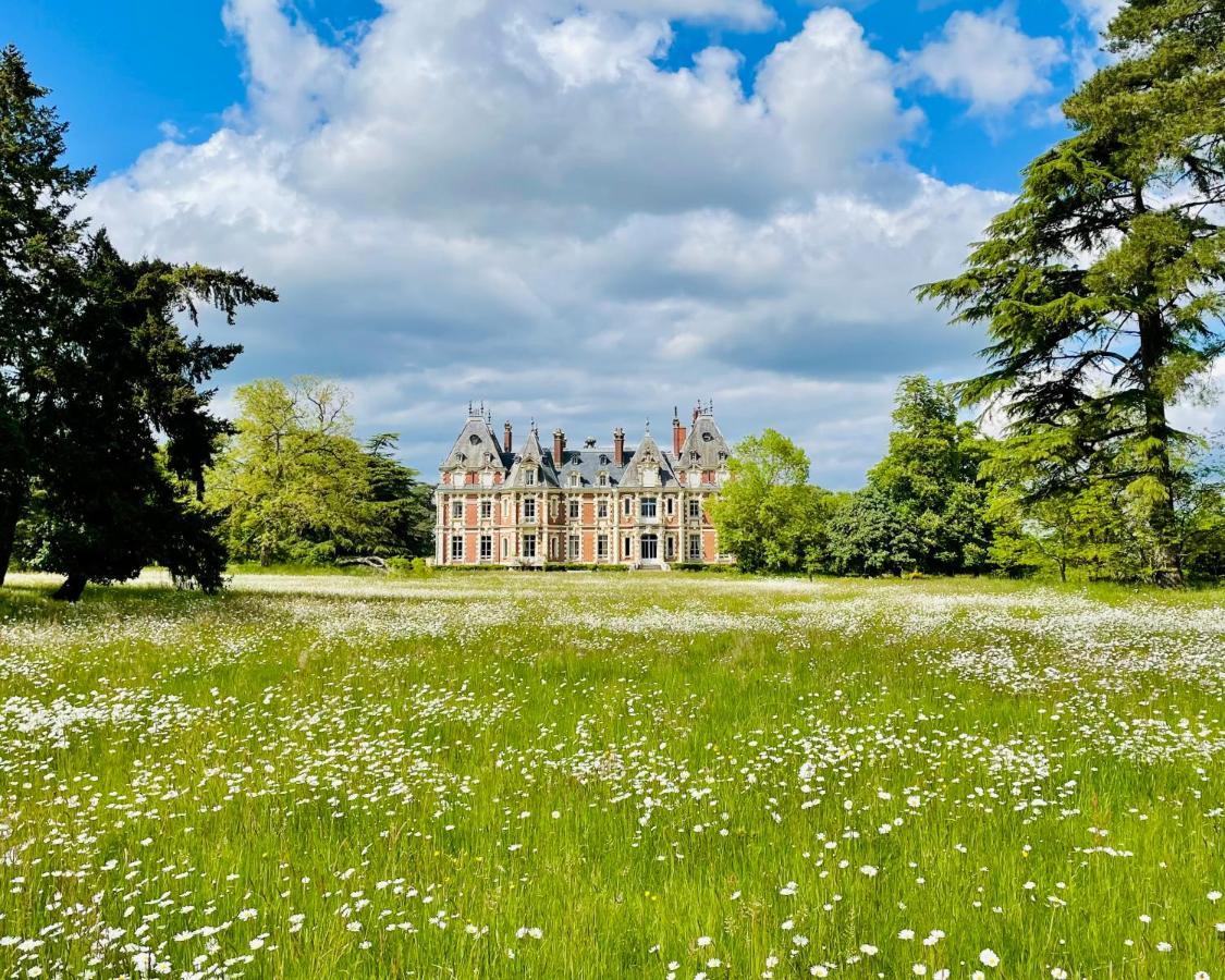 Chateau De La Jumelliere Villa Eksteriør billede